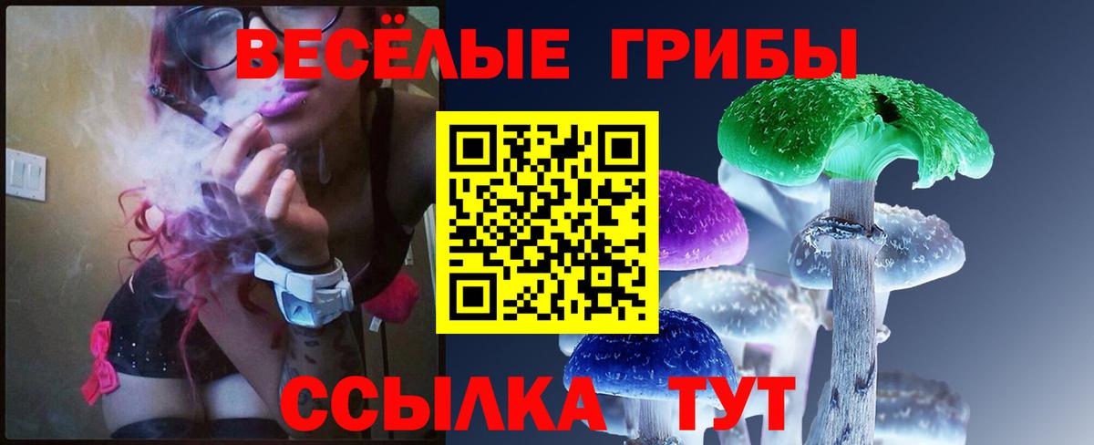Галлюциногенные грибы Psilocybe Лабытнанги