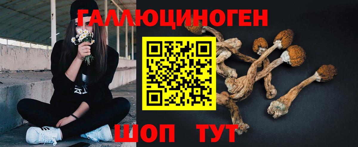 Псилоцибиновые грибы Psilocybine cubensis  Вход с VPN  Псилоцибиновые грибы мухоморы  Лабытнанги 